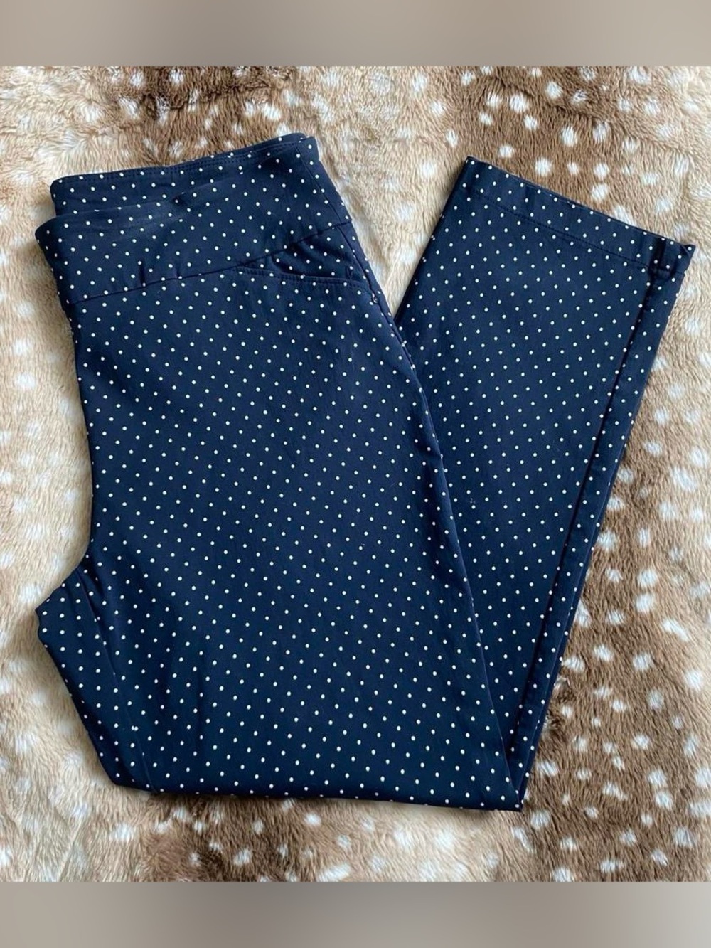 Skinny Ankle Polka Dot Pant